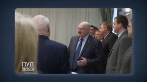 Шпиц Умка: главная собака Лукашенко. Рассказываем ее и