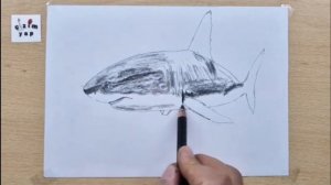 Как нарисовать акулу 3D😳