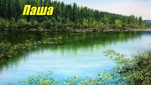 Паша — река в Ленинградской области