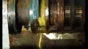 Маслопресс АМГОМ750 - добывание масла из семян рапса.