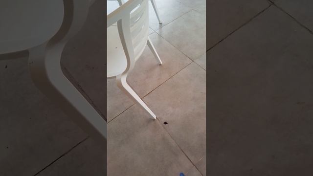 27 мая 2024 г. Абхазия, парк отель Олимп смотреть онлайн