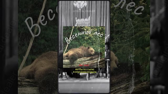 МС ПОХ - ВЕСЕННИЙ ЛЕС jazz cover by Digital Department смотреть онлайн