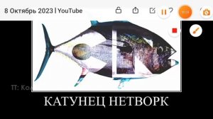 телеканалы + шиза =