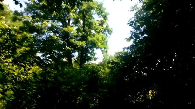 Заброшений лес с очень старим домом нашол разритую могилу ШОК!!! смотреть онлайн