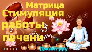 🎥🧘♀️ Матрица. Стимуляция работы печени. Виброакустическая терапия с Джайгуру.💻 ВАУ "Партнёр-Ол"