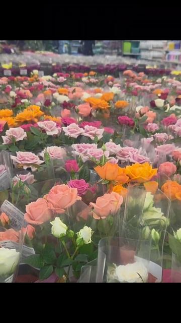 скоро #8марта #подарок #цветы #фото #фотосессия #сертифи смотреть онлайн