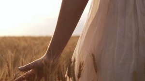 Женщина в белом платье, идёт по пшеничному полю и прик?