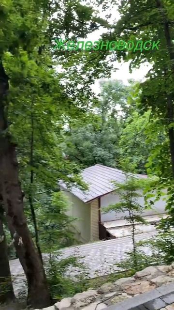 Железноводск 🌳🌹🐿#videoshorts #shorts смотреть онлайн