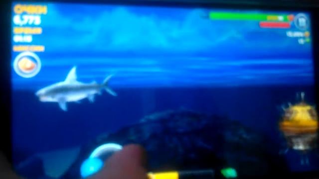 Голодная акула часть 1 смотреть онлайн