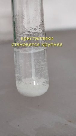 PbCl2 снежок