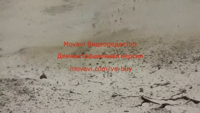 Ивангая подорвали НЕПОВТОРЯТЬ!
