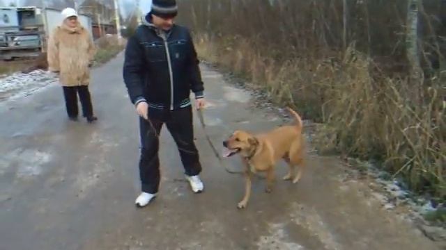 Дина видео 11 11 5