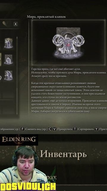 Читаем всё ★ Elden Ring #eldenring #shadowoftheerdtree