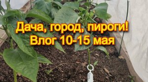 Майский влог. 10-15 мая 2025 года. Дача,  город, пироги