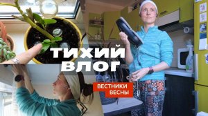 Вестники весны. Цветы. Весенняя уборка. Блэкаут шторы.