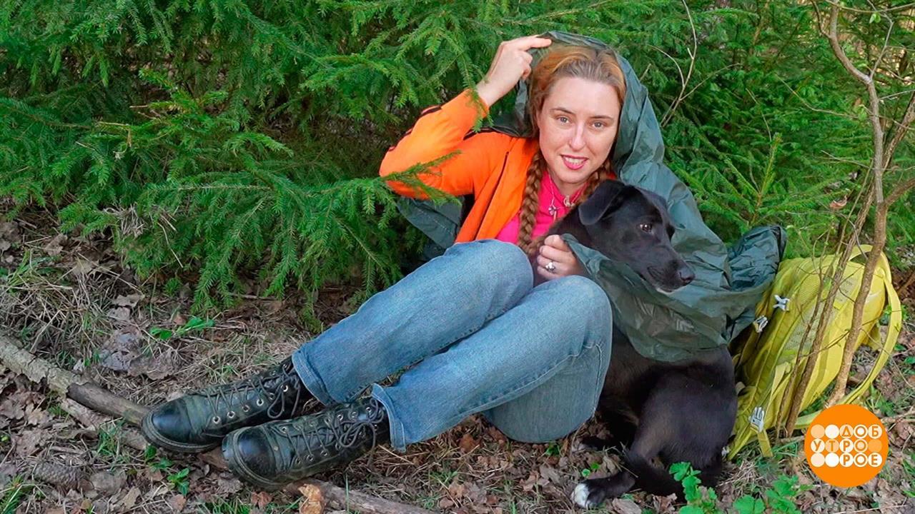 Если гроза застала в лесу... Доброе утро. Фрагмент выпуска от 16.05.2025