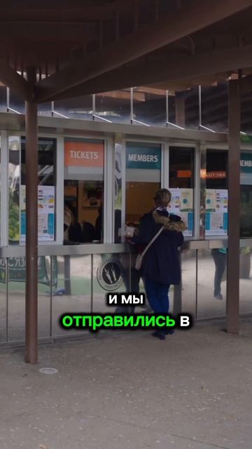 Как спасают животных в Австралии #влог #путешествия #ж?
