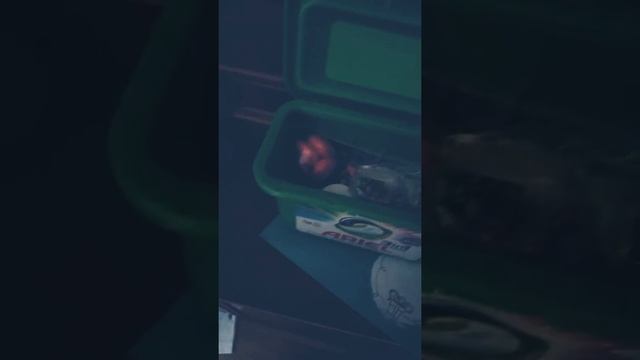 30 сентября 2019 г. смотреть онлайн