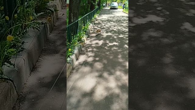 Сене тоже погода нравится😁