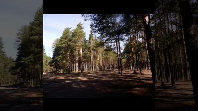 #бабаево город