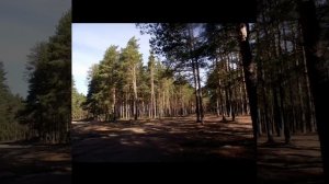 #бабаево город