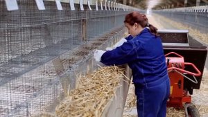 Норковые шубы | Фабрика НОРОК | Как производят один из ?