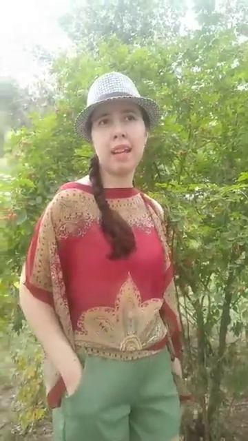 video regolare in italiano oggi вот перевод : обычное видео на италь? смотреть онлайн