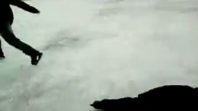 коженский джигурда встал на коньки:D смотреть онлайн