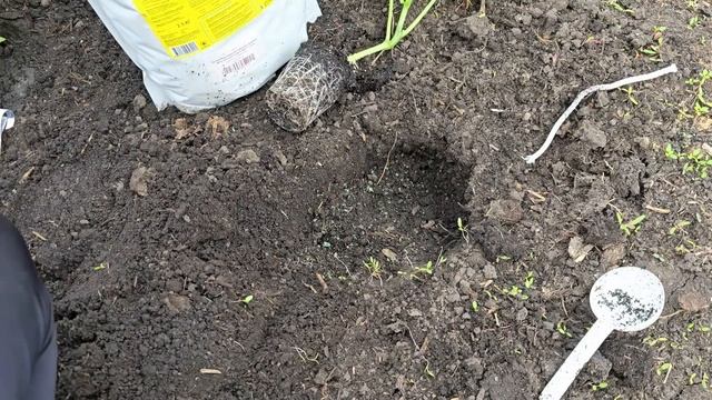 🌱 УНИВЕРСАЛЬНАЯ ПОДКОРМКА ДЛЯ ТОМАТОВ, ПЕРЦЕВ, ОГУРЦОВ И ЦВЕТОВ – СЕКРЕТЫ ПЛОДОРОДИЯ ПОЧВЫ