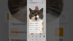 Как задонатить в Star Pets в 2024 году 😁💰