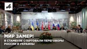 Мир замер! В Стамбуле стартовали переговоры России и Украины