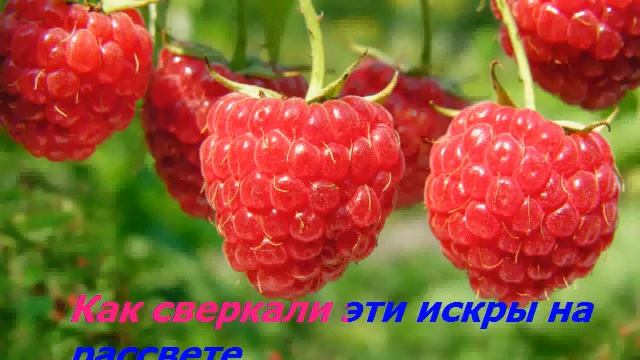 Караоке  "Ягода малина" смотреть онлайн