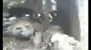 дорога смерти