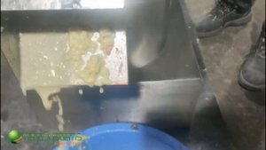 Гриндер для измельчения продуктов в пасту Vega Berry Grinder