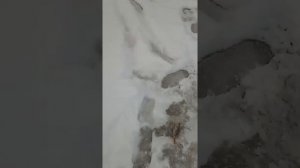 первый осенний лёд,что было