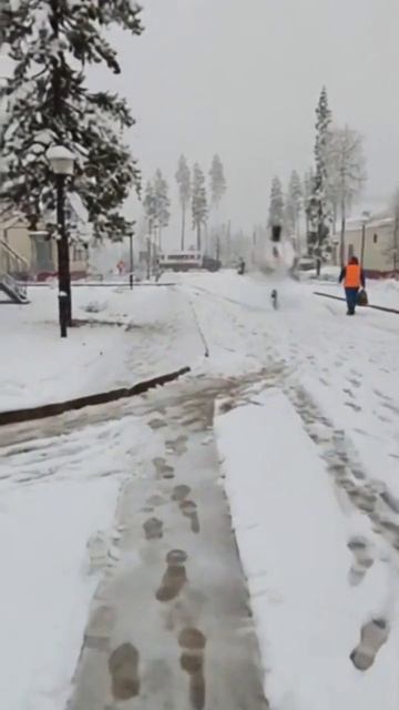 1000017012.mp4