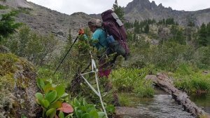 Дожди и Медведи в парке Ергаки