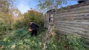 Мое деревенское хобби, одно из...😊