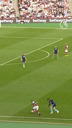 Everyone's DREAM Assist