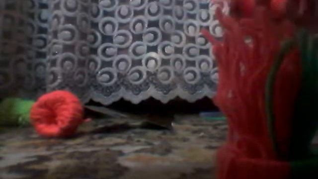 Делаем шапку своими руками. Игрушка на елку или на куклу смотреть онлайн