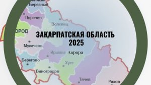 ТАРО #Аврора #гадание Закарпатская область  2025