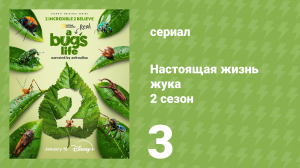 Настоящая жизнь жука 2 сезон 3 серия «Однажды в пруду» (документальный сериал, 2025)