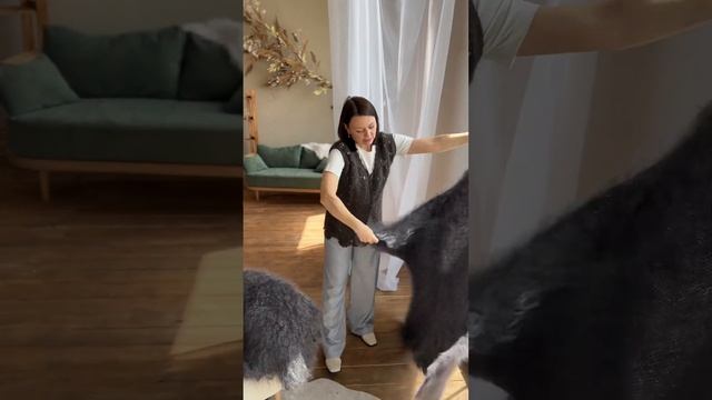 Ваши любимые пуховые шали, платочки кудряшки. Платок 120 - 8500₽, 130 - 9000₽, 135 коричневый 11000 смотреть онлайн