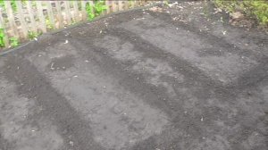 Что на участке 16 мая