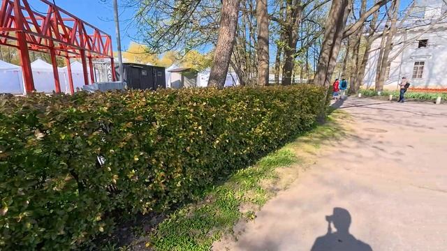 Фестиваль тюльпанов 2025 смотреть онлайн