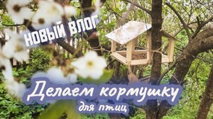 Делаем Деревянную Кормушку для Птиц: Видео под Дуэт 'Лето цвета неба
Кавер песни Юрия Шатунова