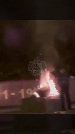 ОСКОРБИЛ ВСЕХ: в Воронеже неадекват жег венки и цветы на Вечном Огне на памятнике Славы.