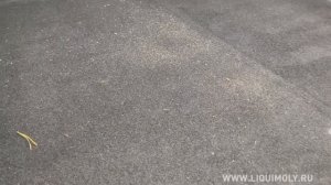 Детейлинг LIQUI MOLY | Текстиль