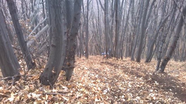 21 11 15 Голо бърдо смотреть онлайн