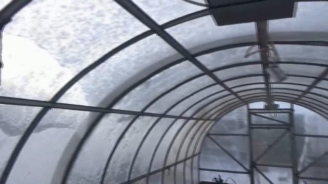 Нас завалило снегом! Обзор погоды, огорода и теплицы с томатами 12 апреля.